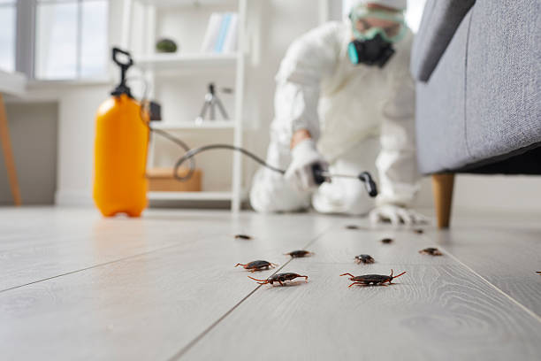 Commercial Kitchen Cockroach Control in Seminole